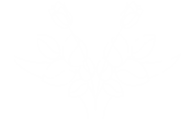 Original Price Design