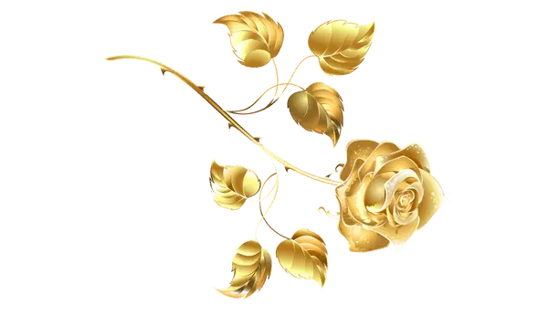 Golden Rose